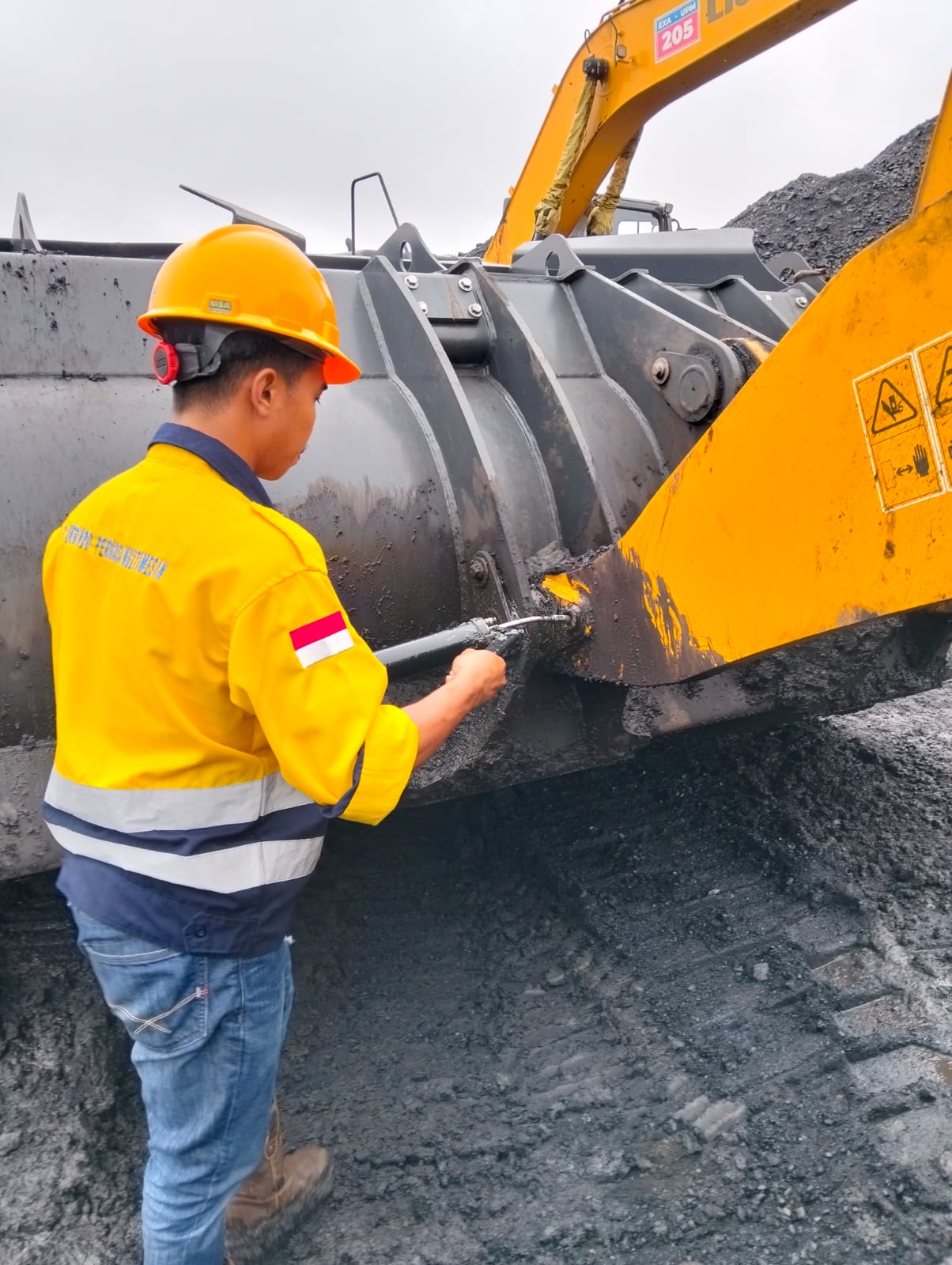 WhatsApp Image 2024-10-30 at 16.00.45